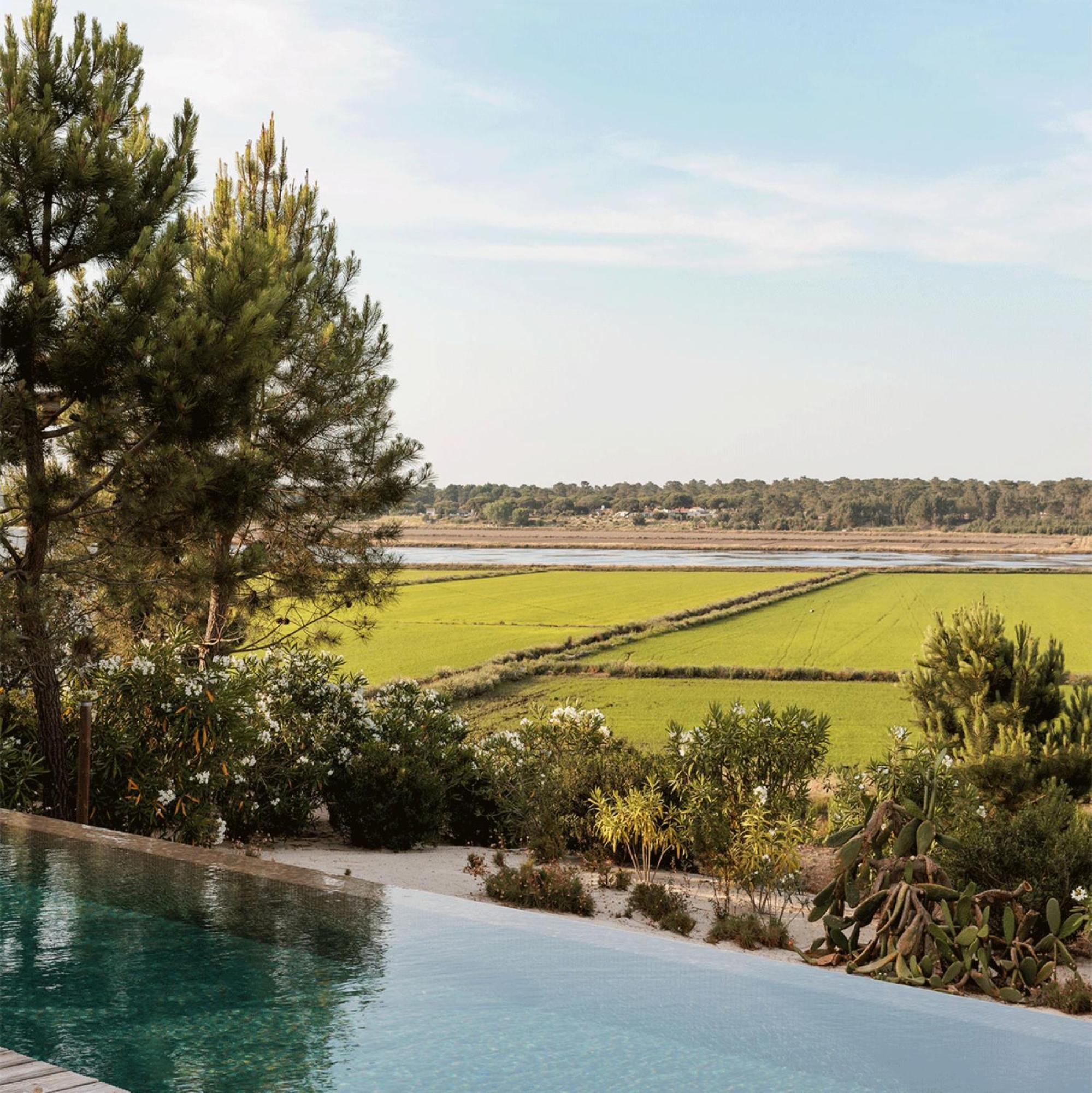 Campo De Arroz Villa Carvalhal  Kültér fotó