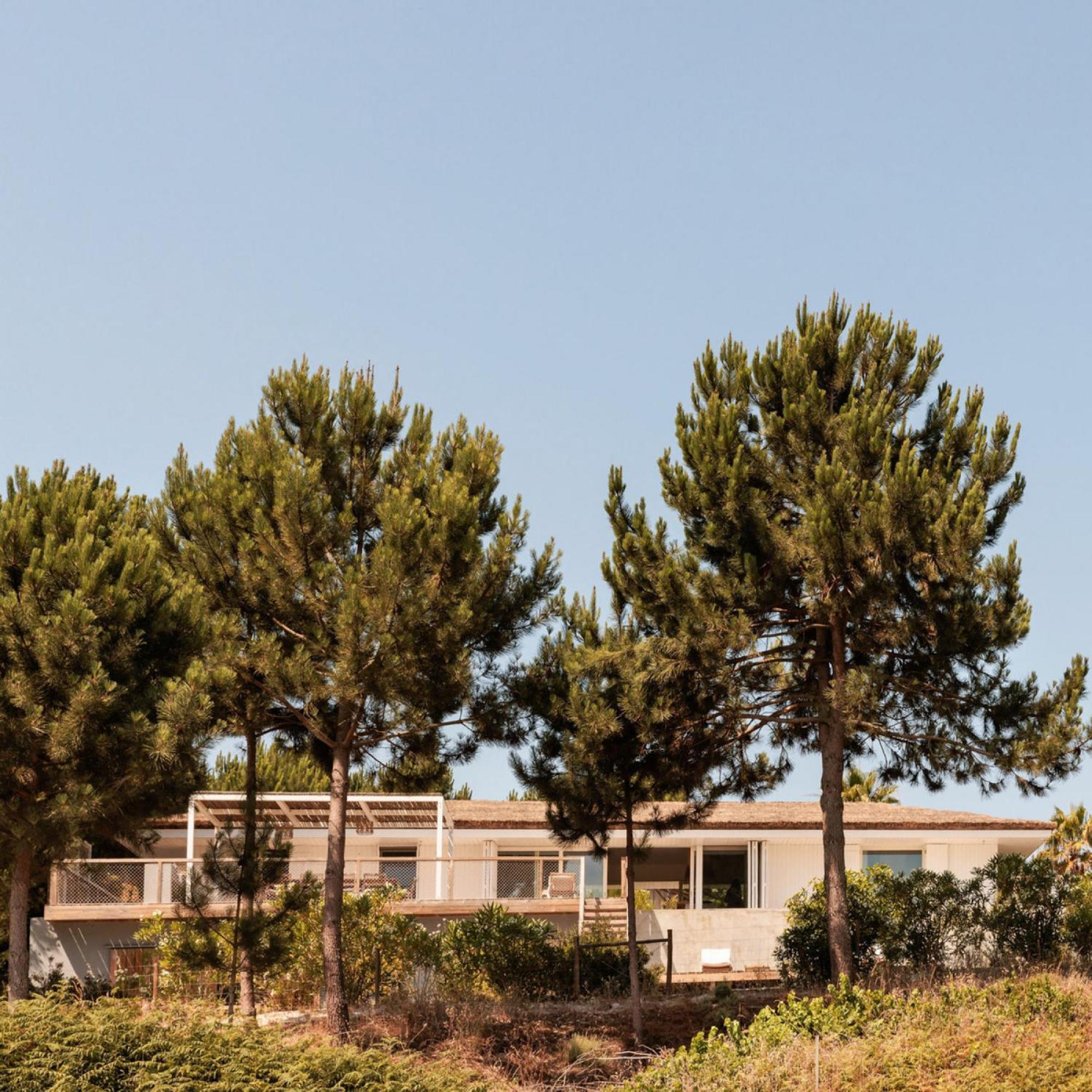 Campo De Arroz Villa Carvalhal  Kültér fotó